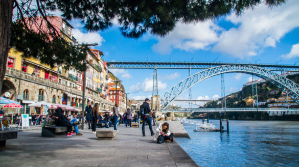 Geografia Porto Portugalia Ludność liczba ludności mieszkańców podział administracyjny dzielnice flora fauna demografia położenie przewodnik po Porto