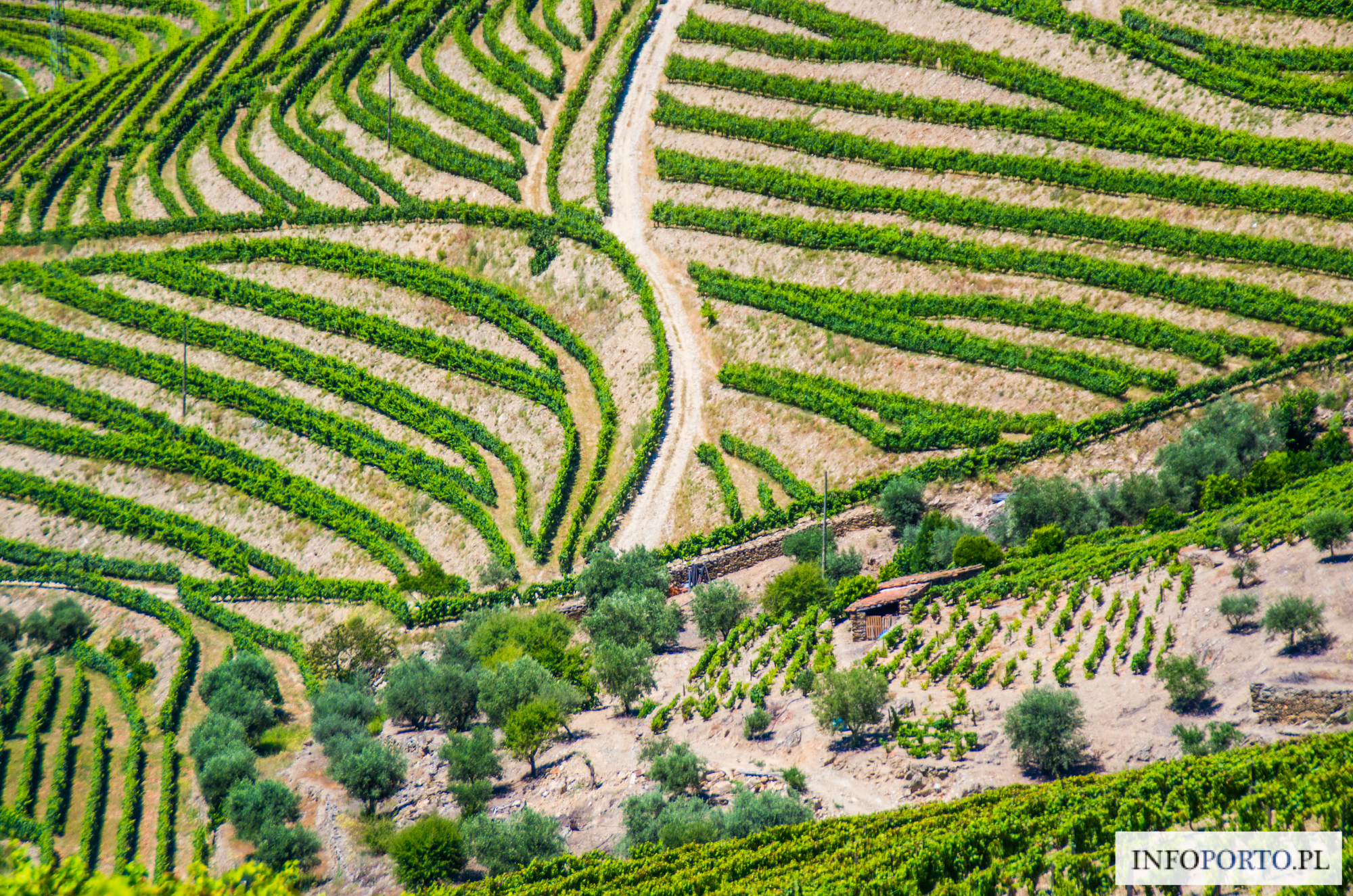 Winnice Dolina Douro Portugalia winnica polecane i najlepsze winnice w duero quintas przewodnik top zestawienie lista którą winnice wybrać dojazd opis zwiedzanie